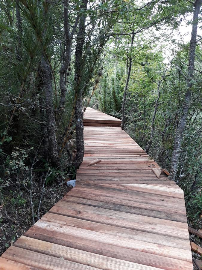 Parque Amavida Villa Malalcahuello Dış mekan fotoğraf