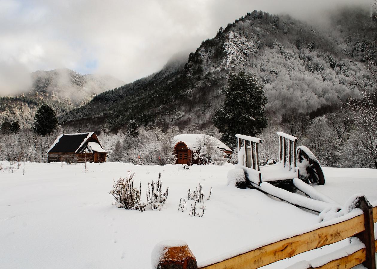 Parque Amavida Villa Malalcahuello Dış mekan fotoğraf