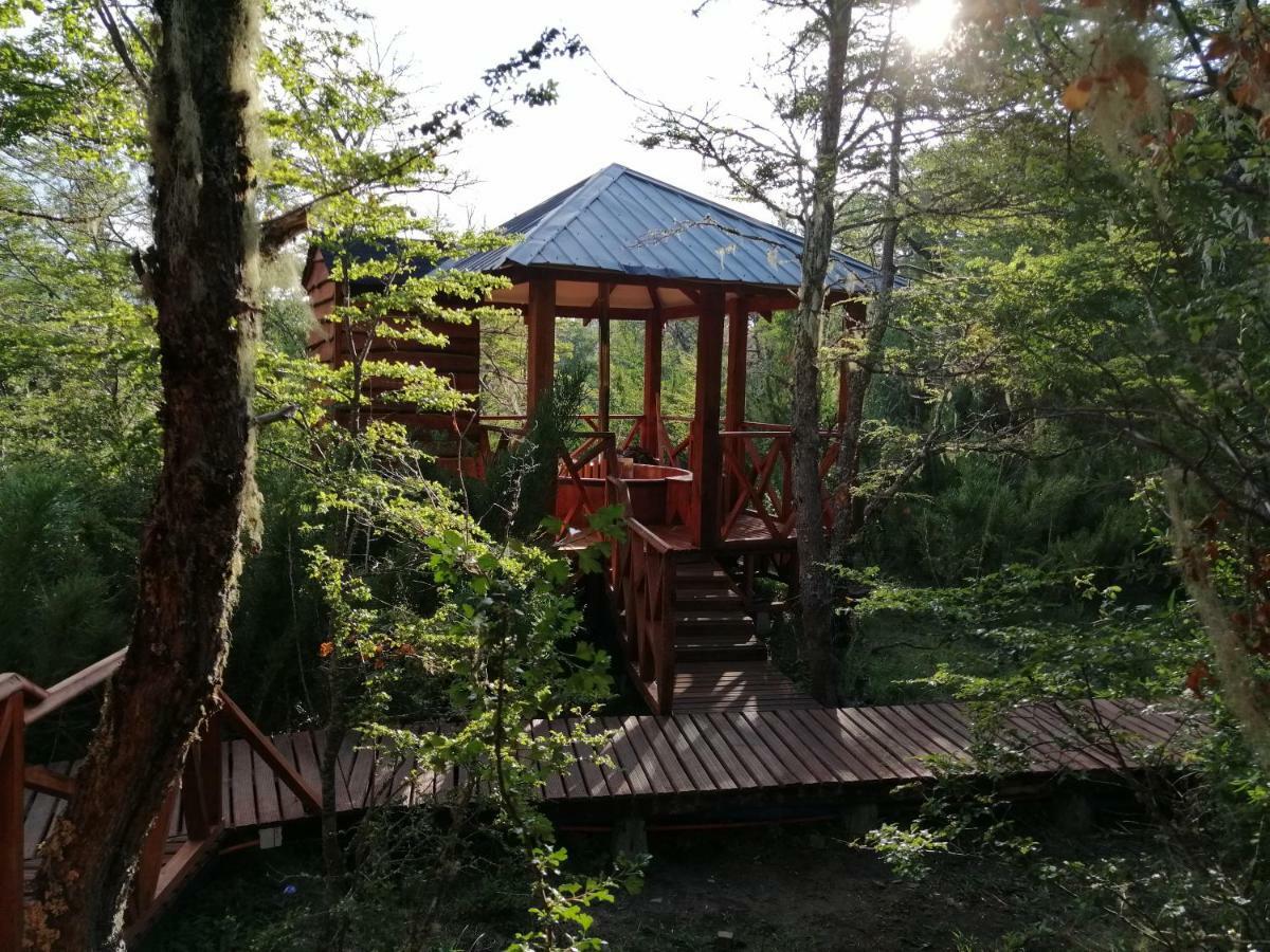 Parque Amavida Villa Malalcahuello Dış mekan fotoğraf